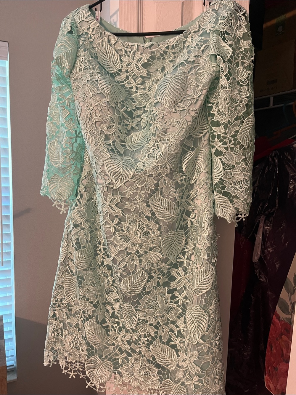 JJs House Lace Midi Dress in Light Mint